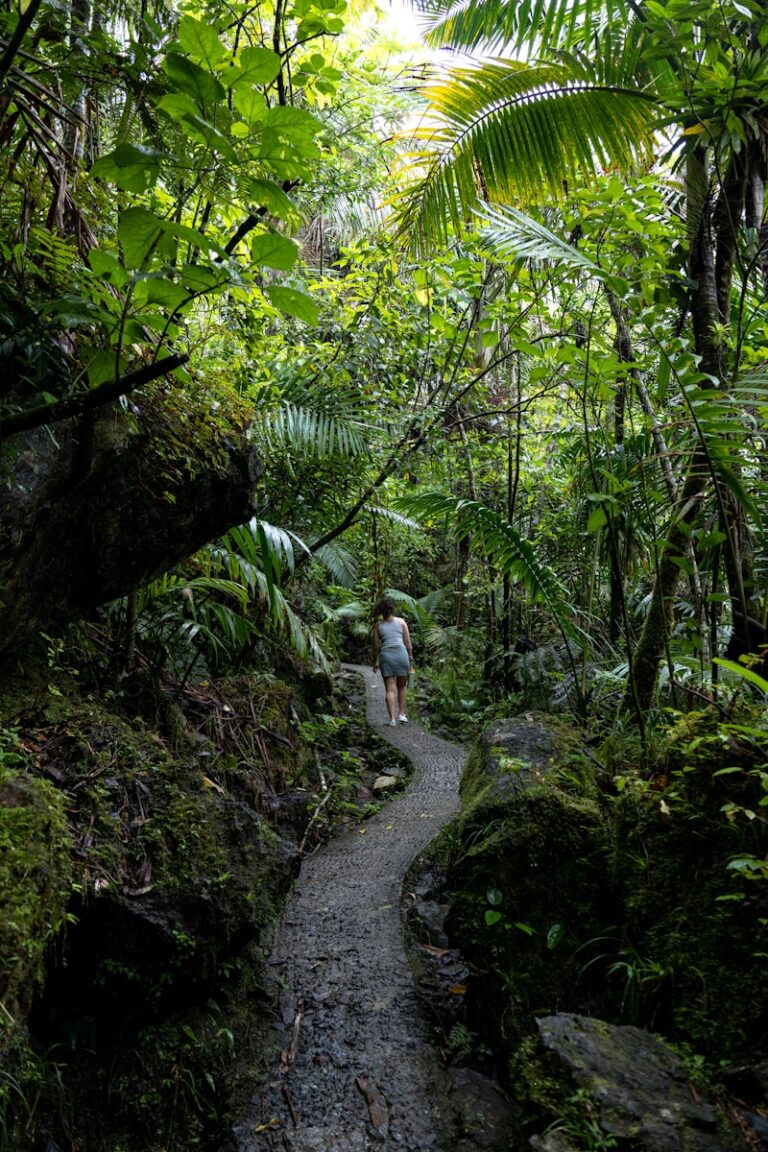 Randonnée sans guide au Taman Negara